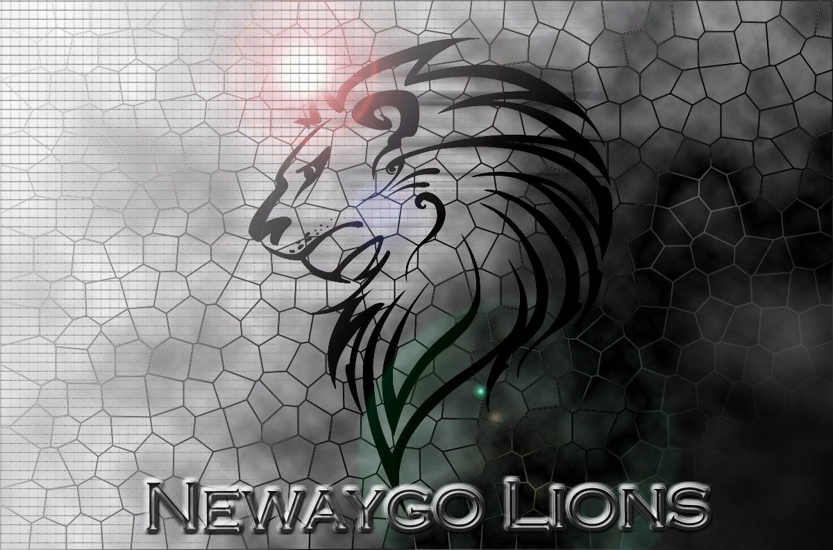 newaygo lions logo